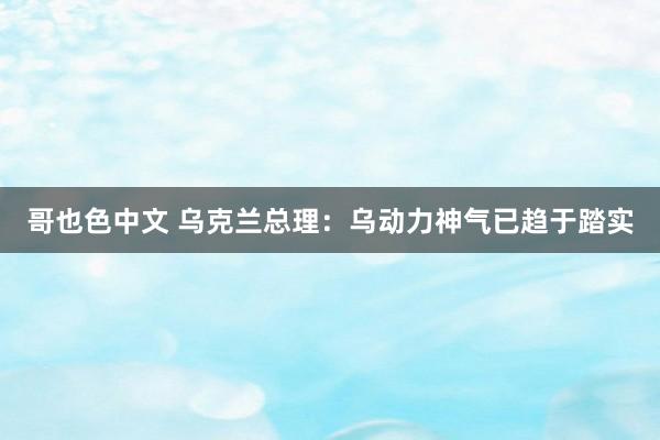 哥也色中文 乌克兰总理：乌动力神气已趋于踏实