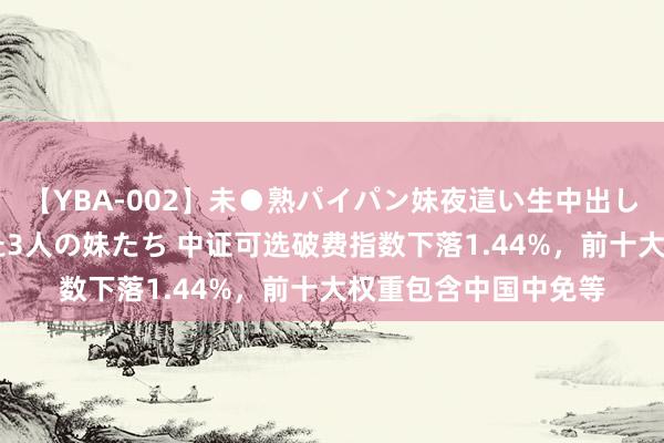 【YBA-002】未●熟パイパン妹夜這い生中出しレイプ 兄に犯された3人の妹たち 中证可选破费指数下落1.44%，前十大权重包含中国中免等