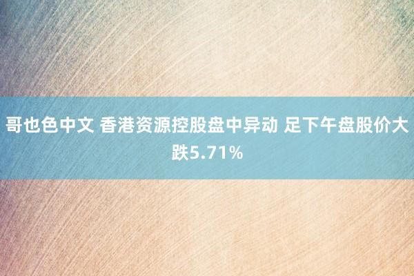 哥也色中文 香港资源控股盘中异动 足下午盘股价大跌5.71%