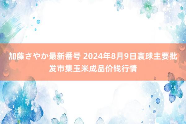 加藤さやか最新番号 2024年8月9日寰球主要批发市集玉米成品价钱行情