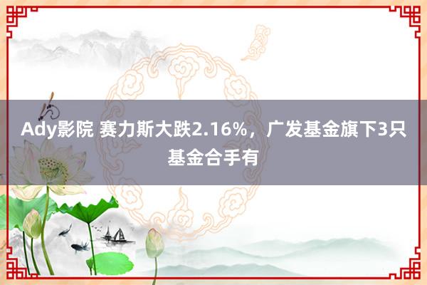 Ady影院 赛力斯大跌2.16%，广发基金旗下3只基金合手有