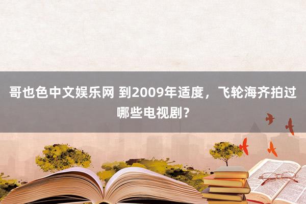 哥也色中文娱乐网 到2009年适度，飞轮海齐拍过哪些电视剧？