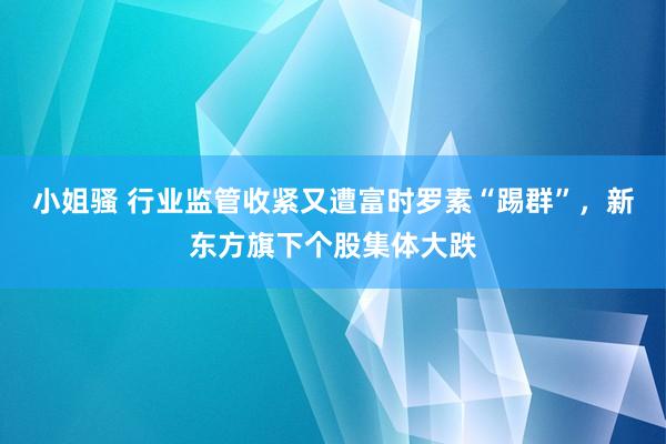 小姐骚 行业监管收紧又遭富时罗素“踢群”，新东方旗下个股集体大跌